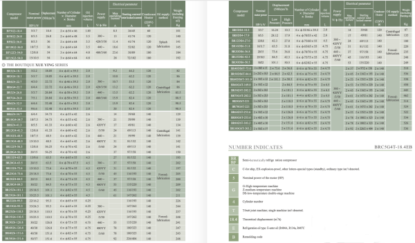 BR16DS6-31.8E (R404A, R134a, R407C) ZSJ. Поршневой полугерметичный компрессор. КСК Трейд г.Москва